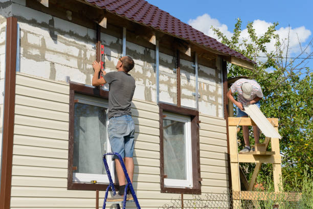 Best Stone Veneer Siding  in Ludowici, GA