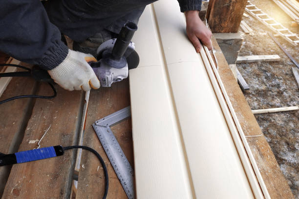 Best Insulated Siding Installation  in Ludowici, GA