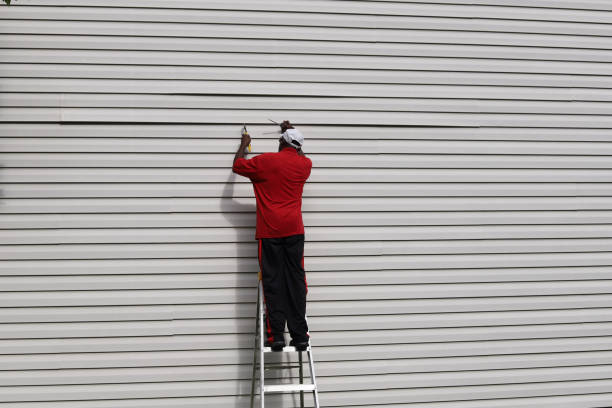 Best Stucco Siding  in Ludowici, GA