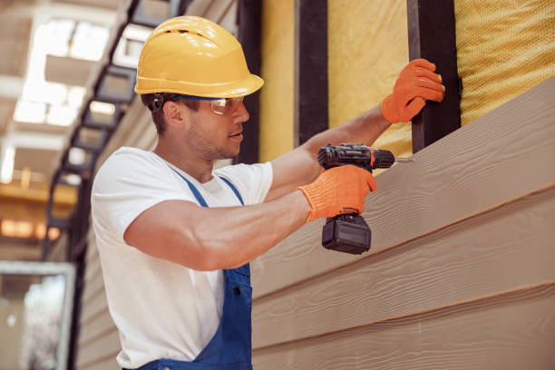 Best Siding Replacement  in Ludowici, GA
