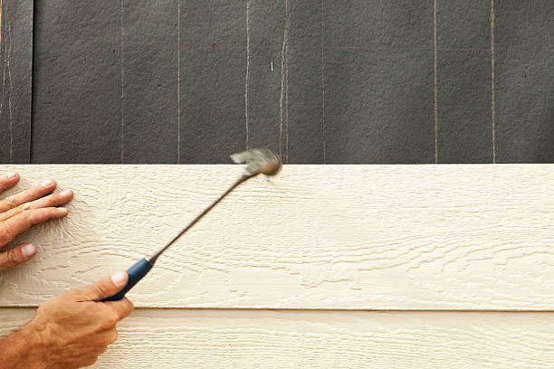 Reliable Ludowici, GA Siding Solutions