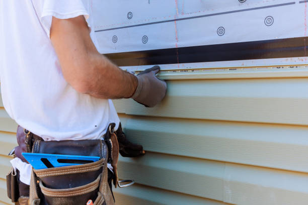 Best Brick Veneer Siding  in Ludowici, GA