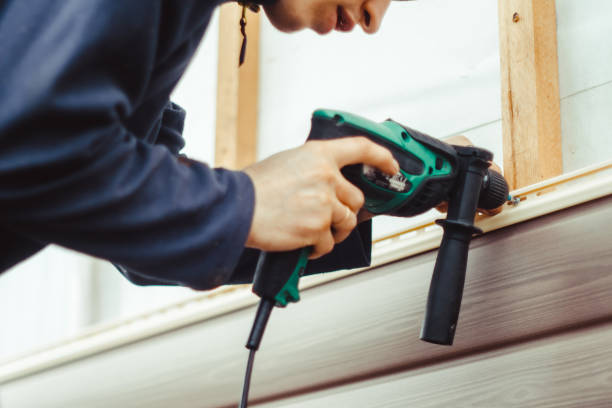Best Historical Building Siding Restoration  in Ludowici, GA